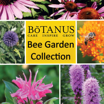 Botanus Bee Garden Collection