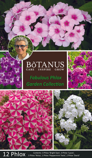 Fabulous Phlox Garden Collection