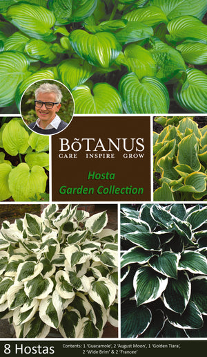 Hosta Garden Collection