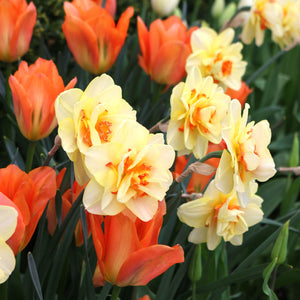 Tropical Getaway Creative Combination