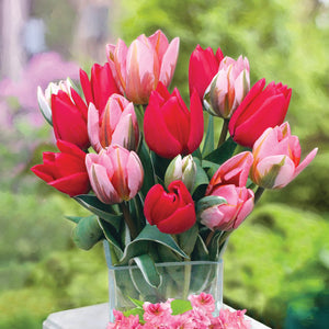 Crown Jewels Creative Combination