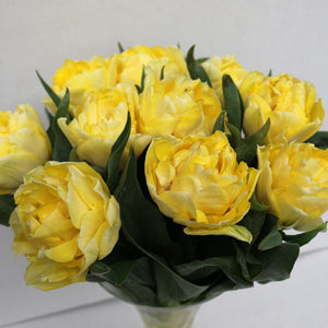 Secret Perfume Double EarlyTulip