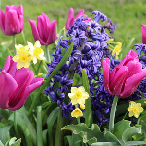 All Set For Spring Creative Combination