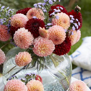 Pennies From Heaven Novelty Dahlia