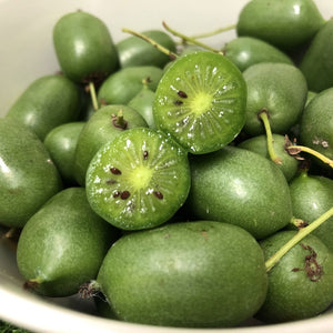 Hardy Kiwi 'Issai'