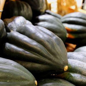 Squash 'Table Queen'