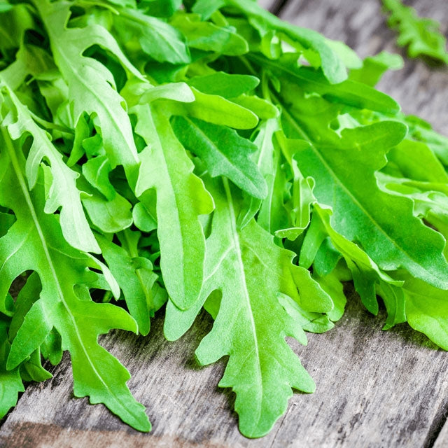 Arugula - Botanus