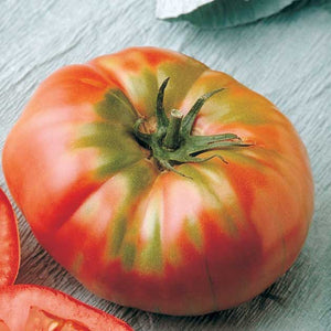 Tomato 'Brandywine'-Aimer's Organic Seed