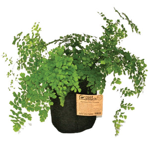 Root Pouch 10 Gallon (plant not included)